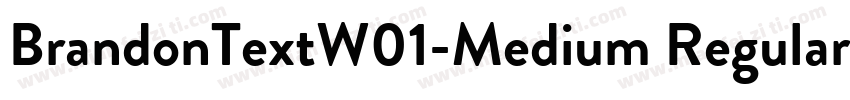 BrandonTextW01-Medium Regular字体转换
